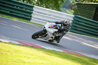 cadwell-no-limits-trackday;cadwell-park;cadwell-park-photographs;cadwell-trackday-photographs;enduro-digital-images;event-digital-images;eventdigitalimages;no-limits-trackdays;peter-wileman-photography;racing-digital-images;trackday-digital-images;trackday-photos